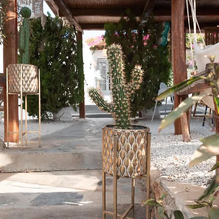 Sunrock - Pansy Naxos City