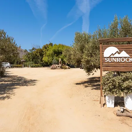 Sunrock - Pansy *