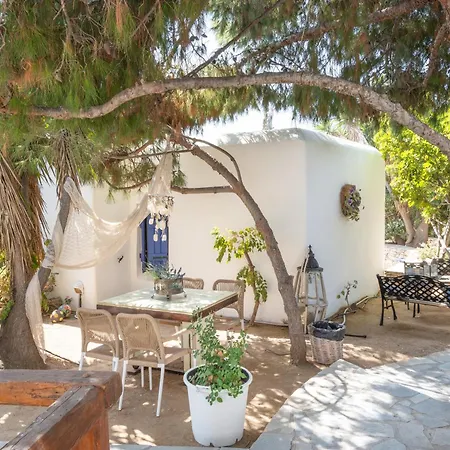 Sunrock - Pansy * Stelida (Naxos)