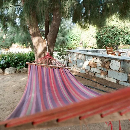 Sunrock - Pansy 3* ステリダ